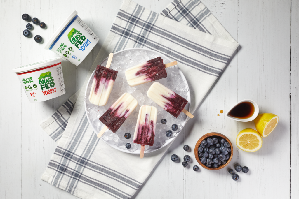 Rolling Meadow Blueberry Popsicles