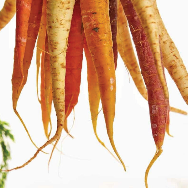 Nutrition and Mental Health