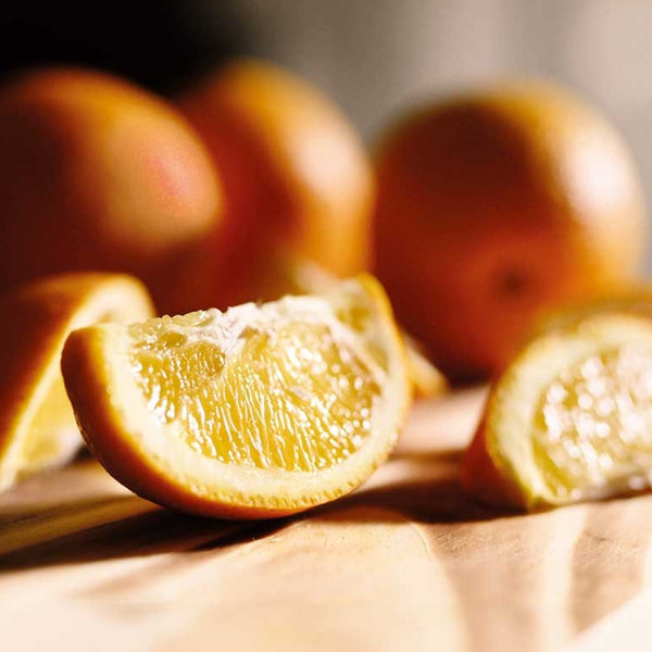 The Brain's Role in Immune Health