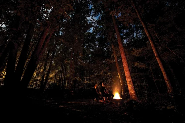 How to Reconnect with Nature Through Seasonal Living
