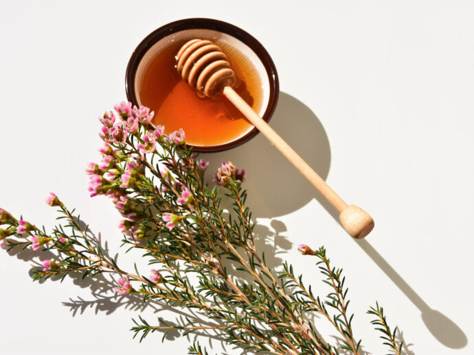 What You Need to Know About Manuka Honey’s Immunity Benefits