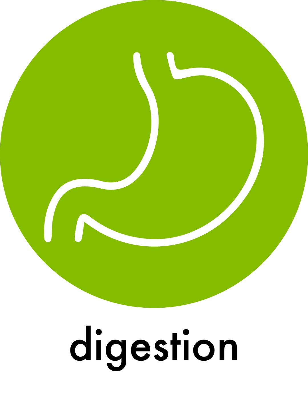 Digestion