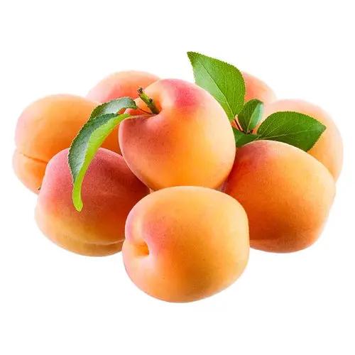 Apricots 1lb clamshell Org