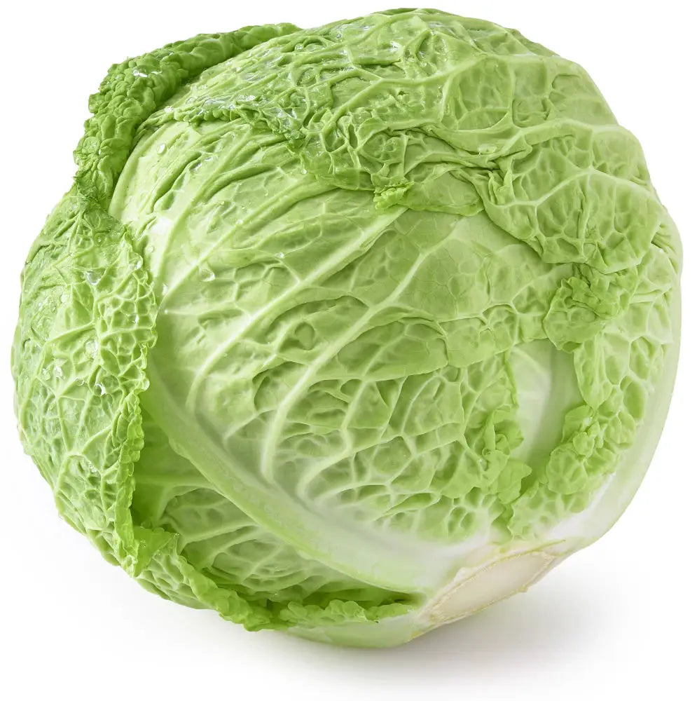Savoy Cabbage Organic