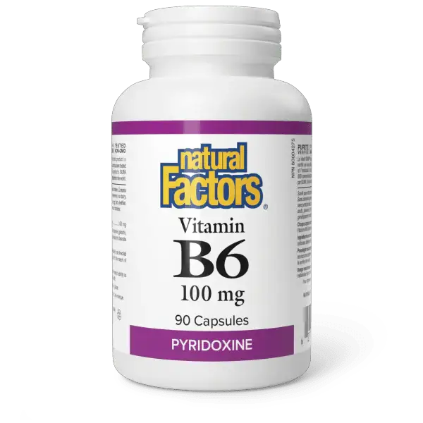 Vitamin B6 (Pyridoxine) 100Mg 90s