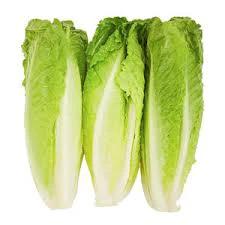 Romaine Hearts 3 pack Organic by Produce Items