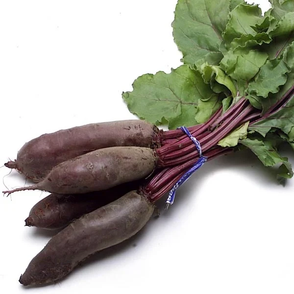 Beets Cylinder ea