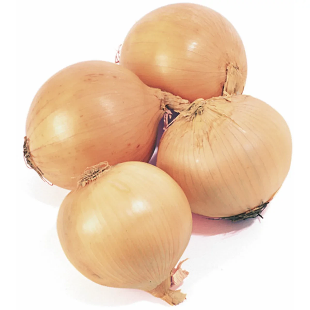 Local Yellow Onions Each