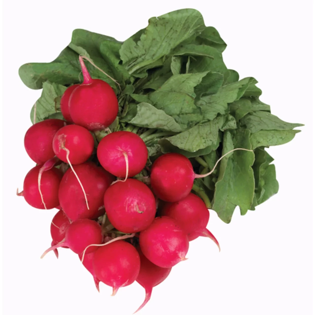 Radish Red Bunch each