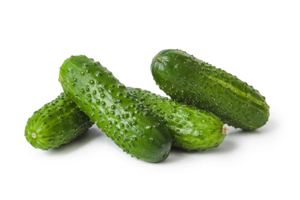 Cucumbers Pickling per kg