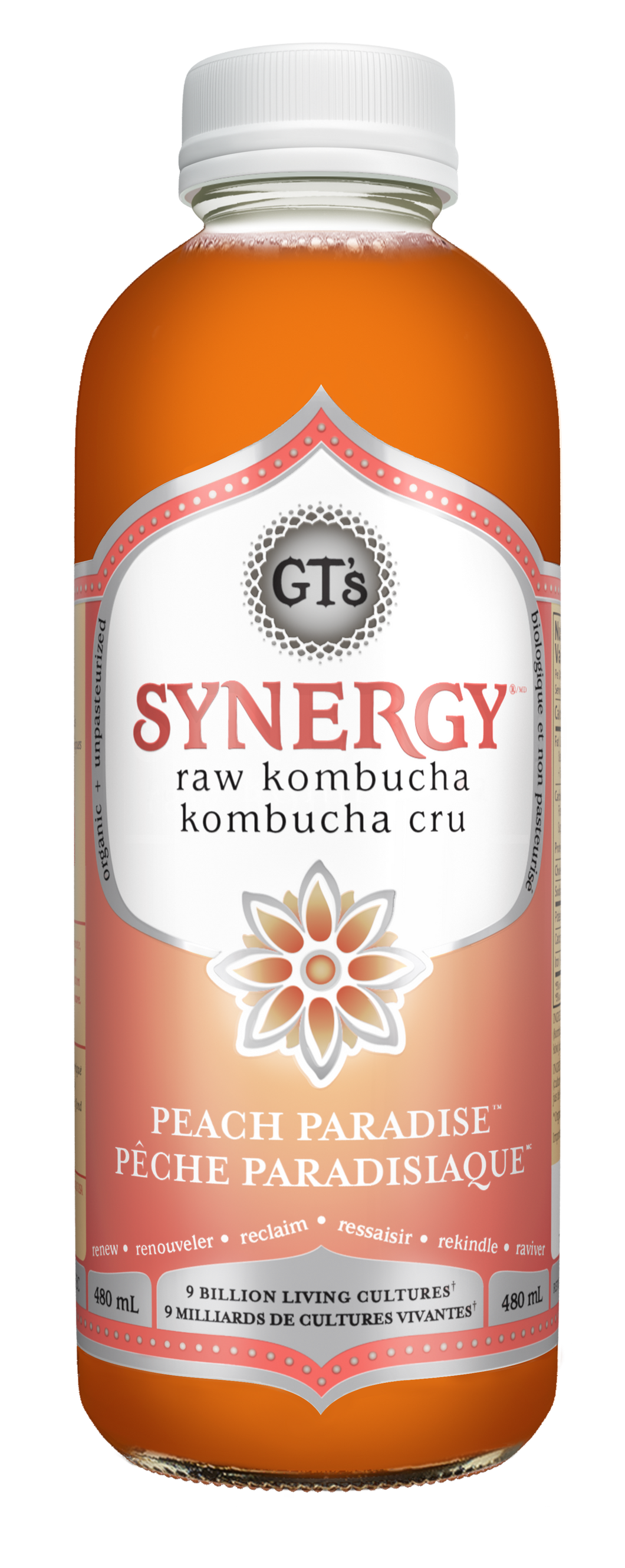 Kombucha Peach Paradise 480ml