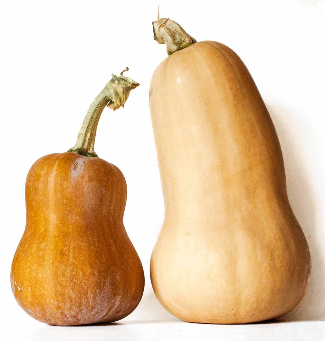 Honeynut Squash Org Each