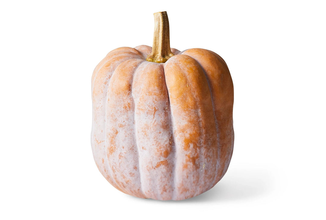 Autumn Frost Squash Organic by Produce Items