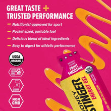 Load image into Gallery viewer, Energy Gels Fruit Smoothie 31g