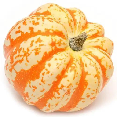 Koginut Squash Organic