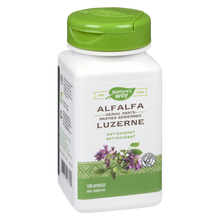 Load image into Gallery viewer, Alfalfa, Aerial Parts / 100 capsules
