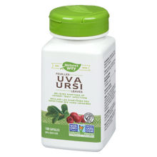 Load image into Gallery viewer, Uva Ursi Leaves / 100 capsules
