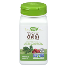 Load image into Gallery viewer, Uva Ursi Leaves / 100 capsules
