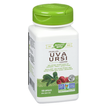 Load image into Gallery viewer, Uva Ursi Leaves / 100 capsules
