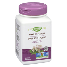 Load image into Gallery viewer, Valerian, Standardized Extract / 90 capsules
