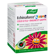 Load image into Gallery viewer, Echinaforce Junior C 90s