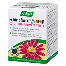 Load image into Gallery viewer, Echinaforce Junior C 90s