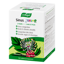 Load image into Gallery viewer, Junior Sinus Tabs 120s