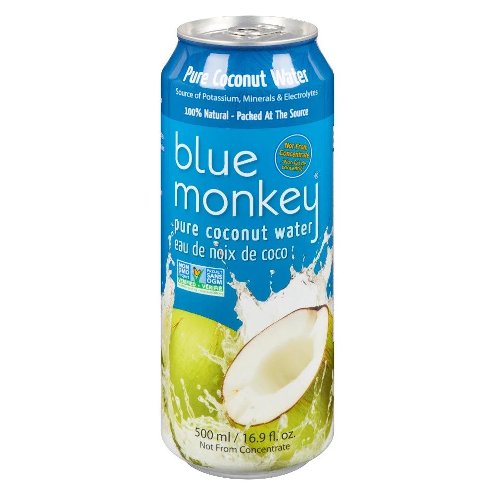 Coconut Water 500ml