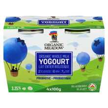 Load image into Gallery viewer, Blueberry Kids Yogurt 4x100g