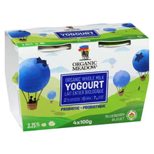 Load image into Gallery viewer, Blueberry Kids Yogurt 4x100g
