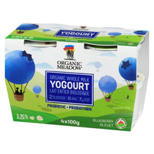 Load image into Gallery viewer, Blueberry Kids Yogurt 4x100g