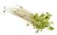 Load image into Gallery viewer, Sprouts Clover Packa each