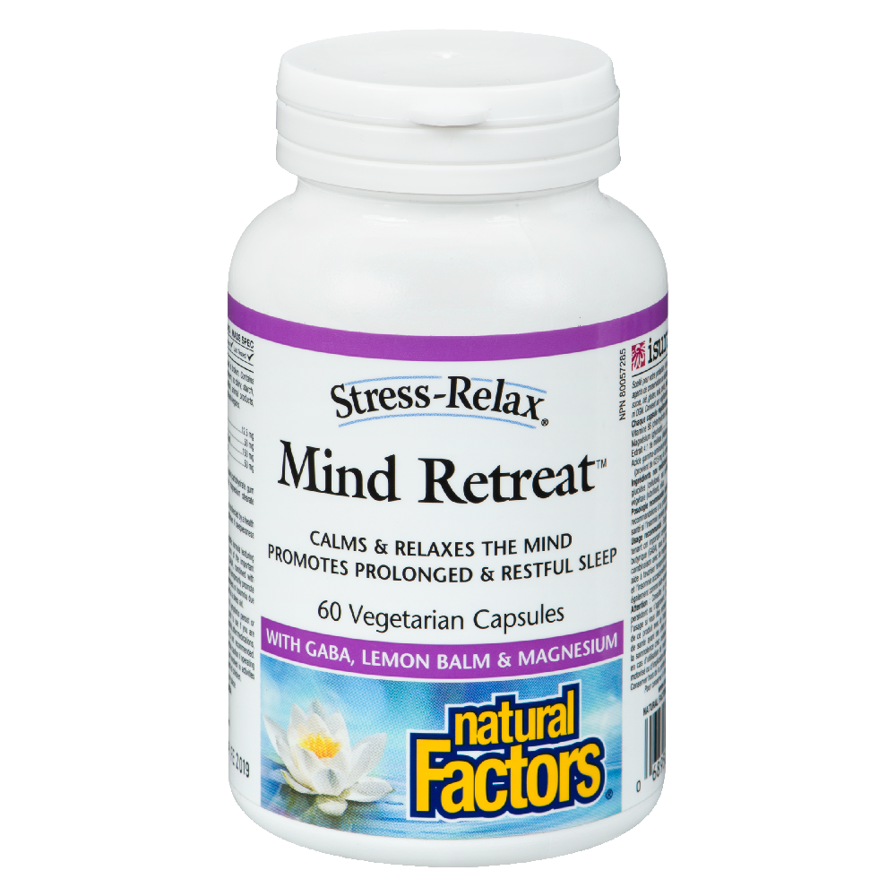 Mind Retreat 60s