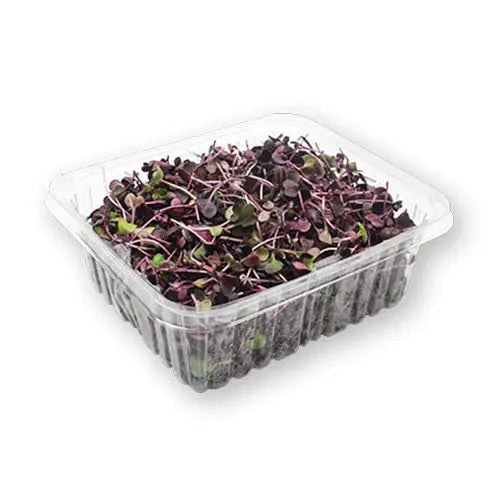 Local Arugula Sprouts 80g