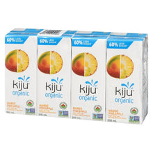 Load image into Gallery viewer, Fit Pineapple Mango 4x200