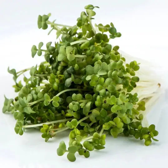 Local Wasabi Sprouts 80g