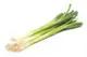 Green Onions bunch Local Organic