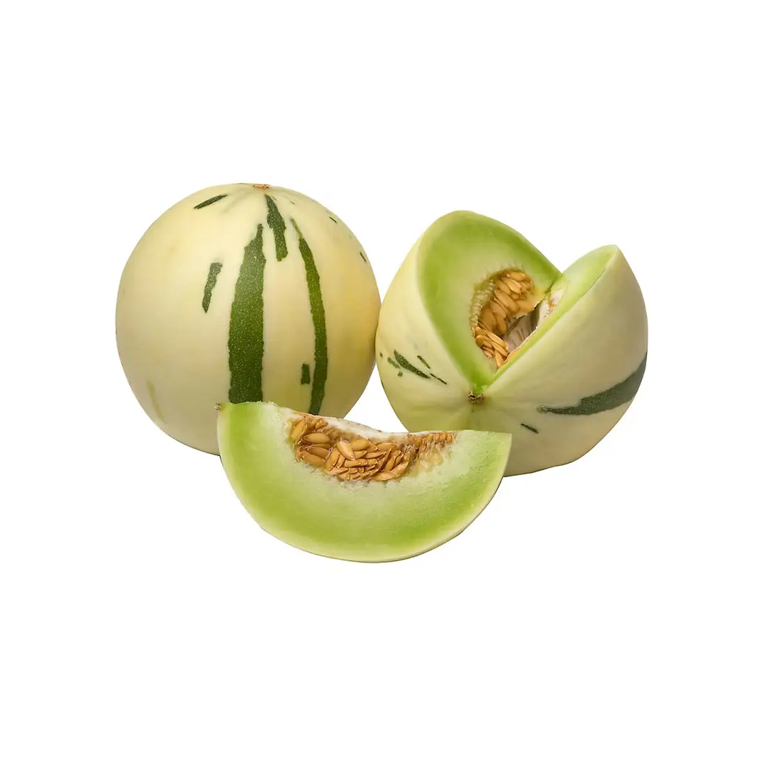 Honeysaurus Melon Organic