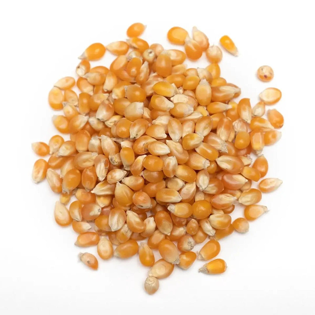 Popping Corn Org per kg