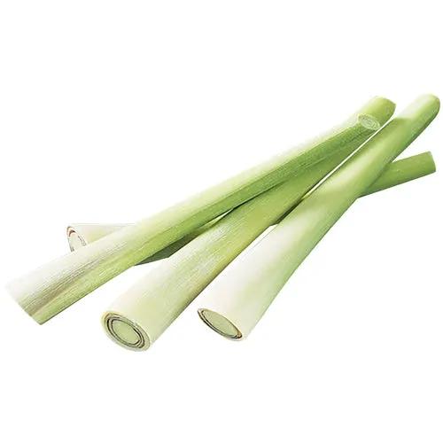 Org Lemongrass Paste 80g