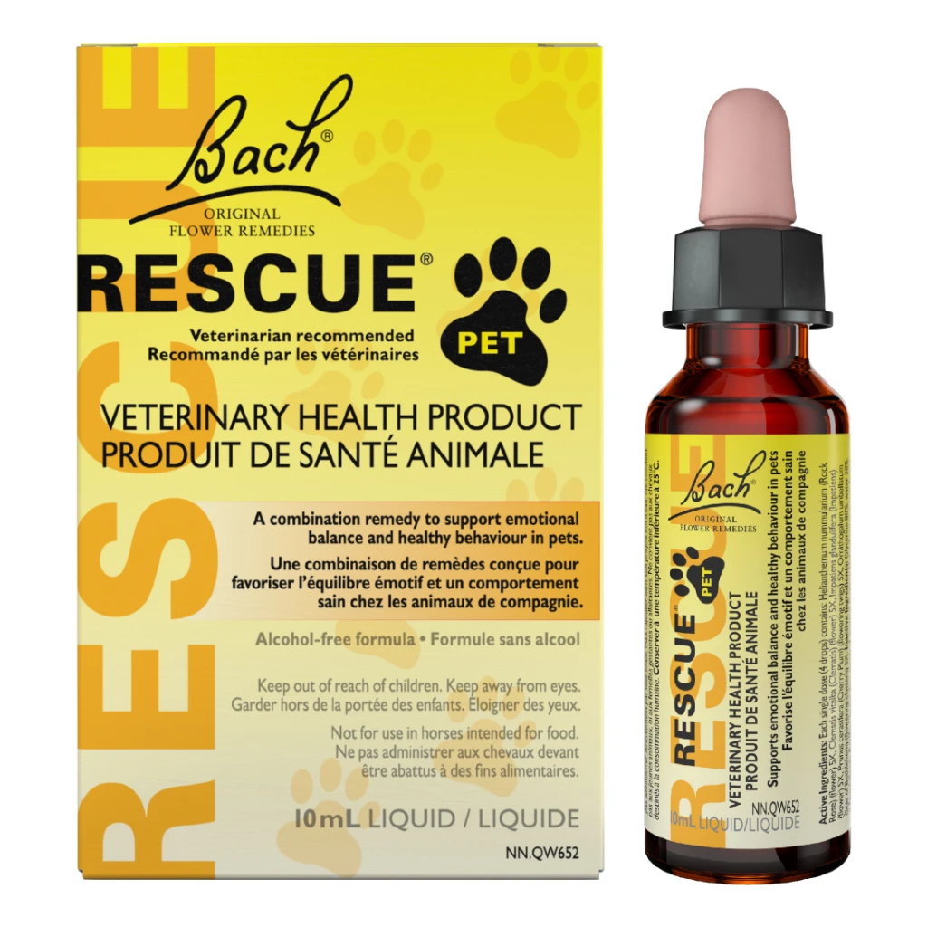 Rescue Pet by Bach