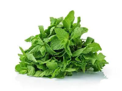 Bulk Mint Organic