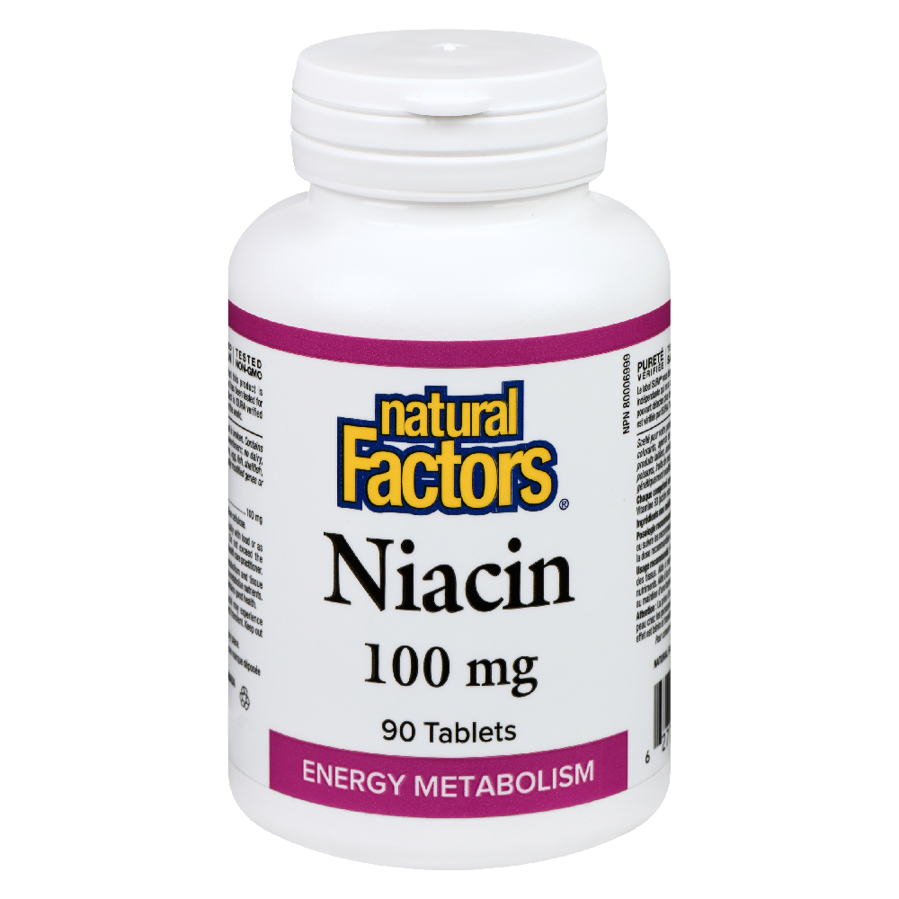 Vitamin B3 Niacin 100mg 90s