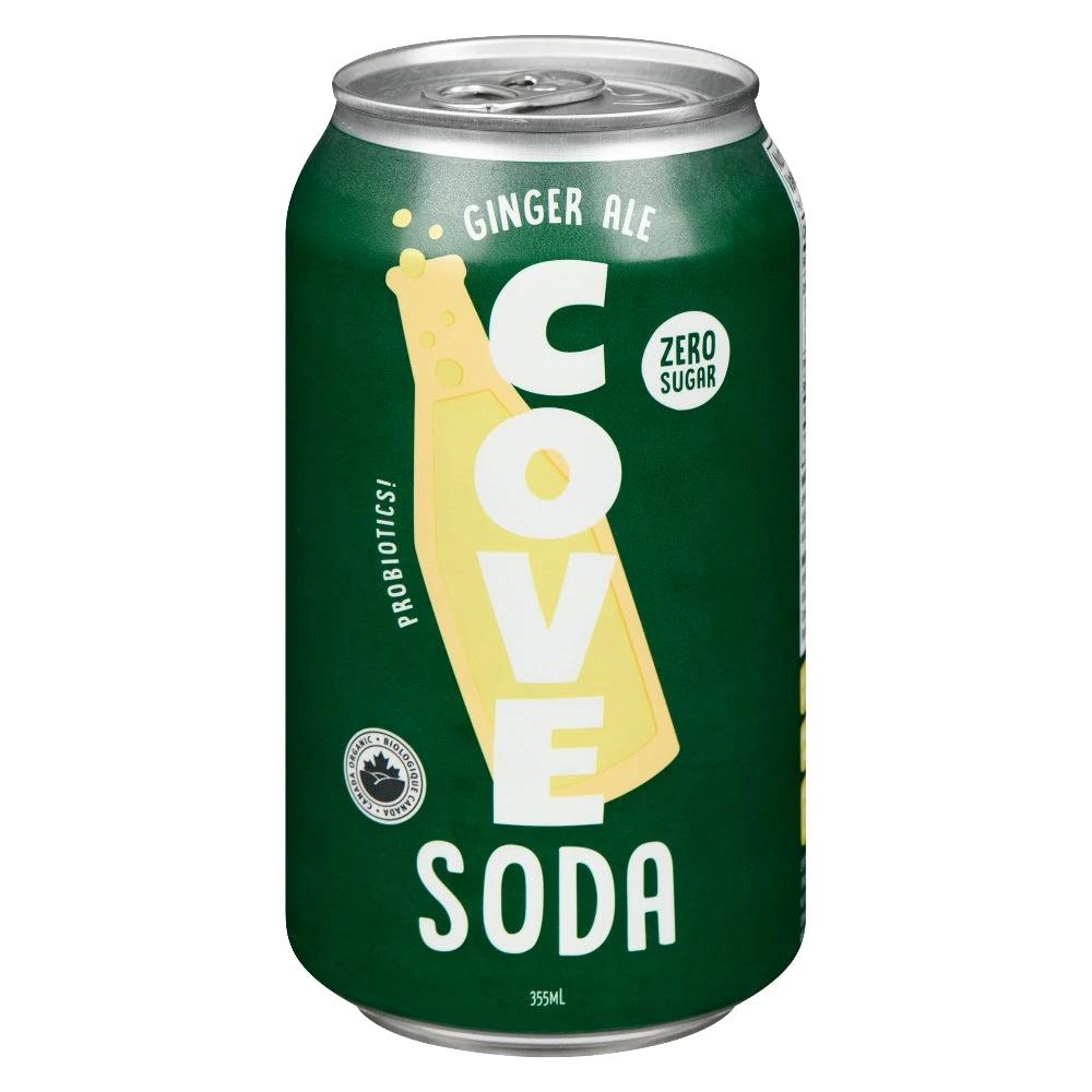 Ginger Ale Soda 355ml
