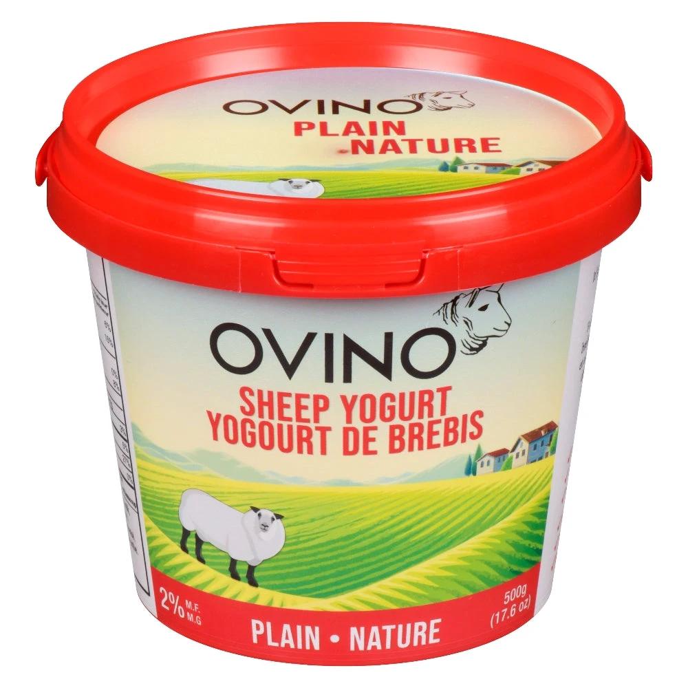 Sheep Yogurt Plain 500g