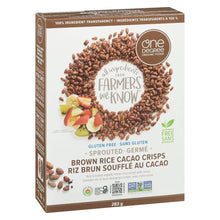 Load image into Gallery viewer, Brown Rice Cereal 283g