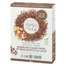 Load image into Gallery viewer, Brown Rice Cereal 283g