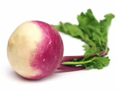 Turnip Purple Organic Each
