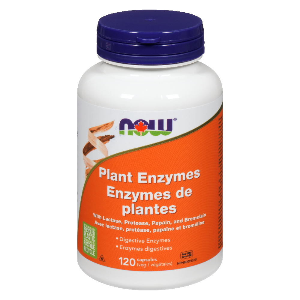 NOW ENZYMES PLANT 120S