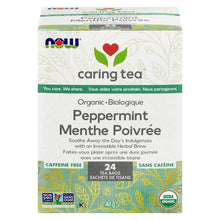 Load image into Gallery viewer, Caring Tea Elderberry Wellness 24s